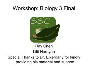 Workshop: Biology 3 Final Ray Chen Lilit Haroyan