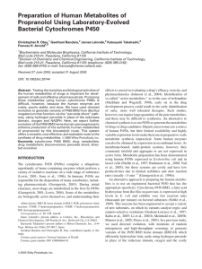 Preparation of Human Metabolites of Propranolol Using Laboratory-Evolved Bacterial Cytochromes P450