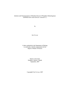 Isolation and Characterization of Plastidic Glucose-6-Phosphate Dehydrogenase