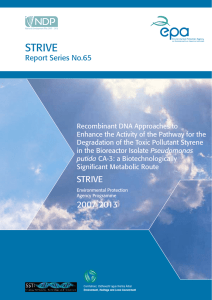 STRIVE Report Series No.65