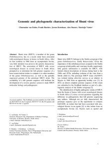 and phylogenetic characterization of Shuni virus Genomic