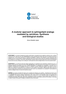 A modular approach to sphingolipid analogs mediated by aziridines: Synthesis