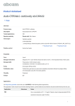 Anti-CYP24A1 antibody ab109632 Product datasheet 1 Image Overview