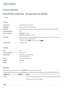 Anti-CCR8 antibody - N-terminal ab140796 Product datasheet 1 Image Overview