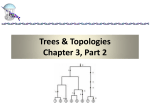 Trees & Topologies Chapter 3, Part 2