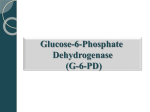 Glucose-6-Phosphate Dehydrogenase