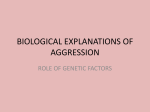biological explanations of aggression