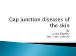 Gap junction diseases of the skin