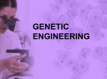 GENETIC ENGINEERING (ppt)