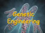 4 Genetic engineering