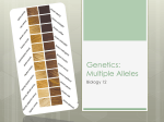 Genetics: Multiple Alleles