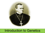 ppt Mendelian Genetics - Fort Thomas Independent Schools