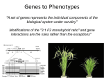 From RNA to protein