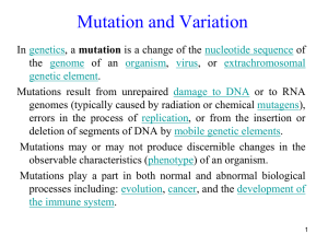 mutations