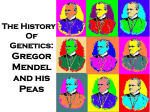 The Study Of Genetics: Gregor Mendel