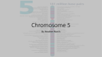 Chromosome 5