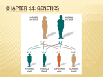 01 Chapter 11-1 notes