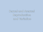 Sexual and Asexual Reproduction and Variation