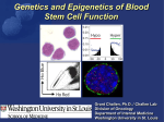 Regulation of Hematopoietic Stem Cells