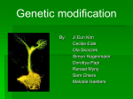 Genetic Modification in Food Production