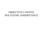 Objective 6 Polygenic Inheritance