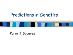 PPT Punnett Squares