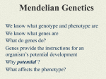 Mendelian Genetics