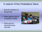 In search of the Cholesterol Gene