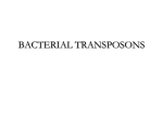 BACTERIAL TRANSPOSONS