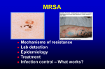 MRSA - Infectious Diseases