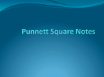 Punnett Squares