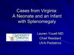 Case from Virginia: A Neonate with Splenomegaly