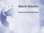 Principles of Natural Selection