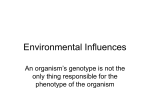 Environmental Influences