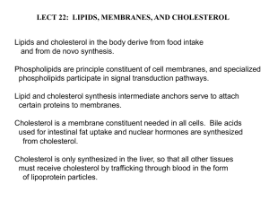 Lect22.LipidsCholesterol