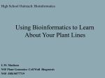 Bioinformatics Presentation