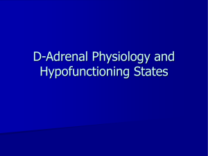 adrenal_physiology_hypofun_states