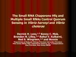 The Small RNA Chaperone Hfq and Multiple Small RNAs Control