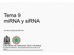 presentation (spanish ppt format, 4.7 MB)