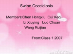 Swine Coccidians