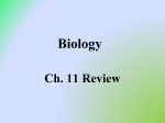 Biology_Ch._11