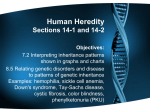 Human Heredity Section 14-1