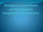 Mutagenesis (mutations) and Teratogenesis