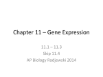 File - Biology with Radjewski