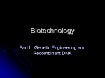 Biotechnology Genetic Engineering and Recombinant DNA