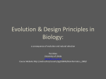 Design Principles in Biology: