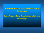Amsterdam 2004 - Theoretical Biology & Bioinformatics