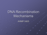 DNA Recombination Mechanisms