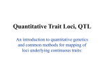Quantitative Trait Loci, QTL An introduction to
