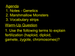 Agenda 06/12/06 1. Notes - Genetics 2. Practice Problems 3